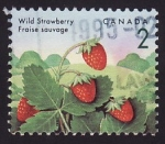 Stamps : America : Canada :  Wild strawberry