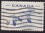 Stamps : America : Canada :  Gansos