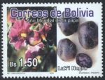 Stamps Bolivia -  Año Mundial de la Papa