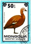Stamps Mongolia -  Tadorna ferruginea