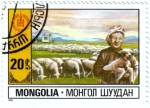 Stamps Mongolia -  Ovejas pastando