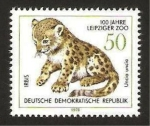 Sellos de Europa - Alemania -  leopardo de las nieves
