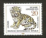 Stamps Germany -  leopardo pantera
