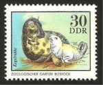 Stamps Germany -  focas
