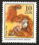 Stamps Germany -  orangutan