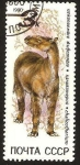 Stamps Russia -  dinosaurio
