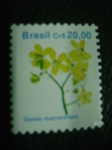 Sellos de America - Brasil -  cassia macranthera