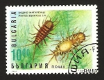 Stamps Bulgaria -  fauna marina