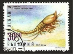 Stamps Bulgaria -  fauna marina