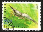 Stamps : Europe : Bulgaria :  fauna marina, gamba