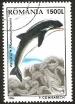Stamps Romania -  delfin