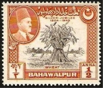 Stamps : Asia : Pakistan :  bahawalpur, trigo