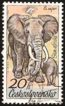 Sellos de Europa - Checoslovaquia -  Elefantes