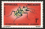 Sellos de Africa - Madagascar -  escarabajo