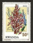 Sellos de Africa - Rwanda -  flora, disa stairii