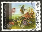 Stamps Poland -  fauna marina
