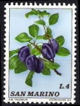 Stamps : Europe : San_Marino :  Frutos. Ciruelas.