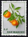 Stamps : Europe : San_Marino :  Frutos. Naranjas.