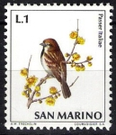 Stamps San Marino -  Aves. Passer Italiae.