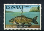 Stamps Spain -  Carpa