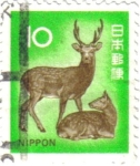 Stamps : Asia : Japan :  El ciervo sica (Cervus nippon)