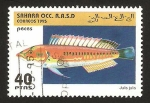 Stamps Morocco -  pez