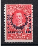 Stamps Europe - Spain -  Edifil  355  XXV Aniv. de la Jura de la Constitución por Alfonso XIII