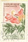 Stamps Africa - Gabon -  Tulipan