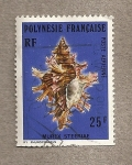 Stamps Polynesia -  Murex steeriae