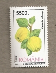 Stamps Romania -  Membrillero