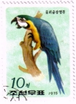 Sellos del Mundo : Asia : Corea_del_norte : El Guacamayo Azul y Amarillo