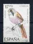 Stamps Europe - Spain -  Bigotudo
