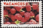 Stamps : Europe : France :  FRANCIA 2009 Sello Vacaciones Frambuesas Moras usado
