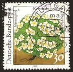 Stamps Germany -  1337 - planta androsace