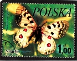 Stamps : Europe : Poland :  Mariposas