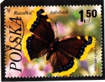 Sellos de Europa - Polonia -  Mariposas