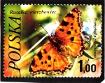 Sellos del Mundo : Europa : Polonia : Mariposas