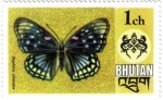 Stamps Bhutan -  Mariposa. El cortesano oriental (Sephisa chandra)