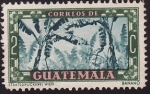 Stamps Guatemala -  Banano
