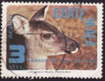 Stamps : America : Guatemala :  Venado de Cola Blanca