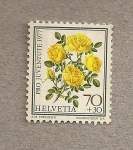 Stamps Switzerland -  Pro Juventute 1977