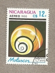Stamps : America : Nicaragua :  Moluscos  Polymicta picta
