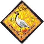 Stamps : Asia : United_Arab_Emirates :  Fujeira-Aves
