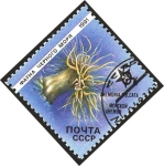 Sellos de Europa - Rusia -  Fauna marina, anemona de mar