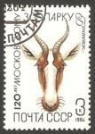 Sellos de Europa - Rusia -  fauna animal