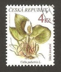 Stamps Europe - Czech Republic -  flora, calla palustris