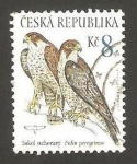 Stamps Europe - Czech Republic -  fauna, falco peregrinus