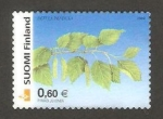 Sellos de Europa - Finlandia -  flora, betula pendula