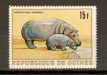 Stamps : Africa : Guinea :  HIPOPÓTAMO