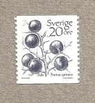 Stamps Sweden -  Ciruelo salvaje